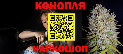 гидра Заволжье