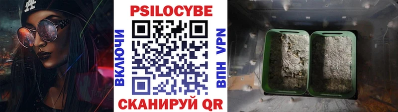Галлюциногенные грибы GOLDEN TEACHER  купить  сайты  Усть-Илимск 