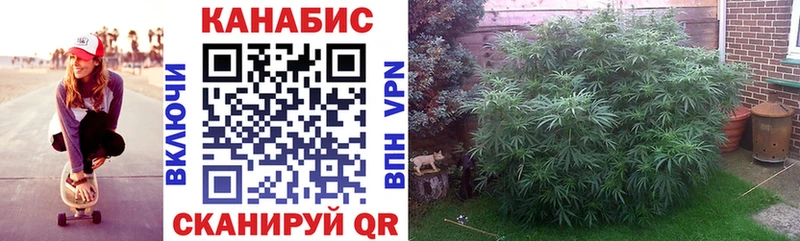 Канабис White Widow Усть-Илимск